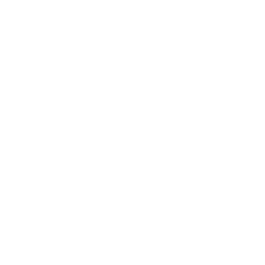 ICOR spinning signet